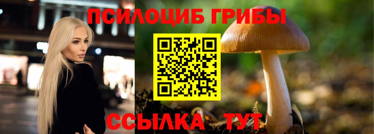 Изобильный  Галлюциногенные грибы Cubensis  Вход с VPN 